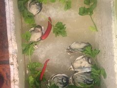 -百年银屏蚝烙·潮汕菜·非遗(乐山店)