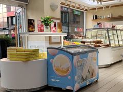 -蒲公英(五里店)