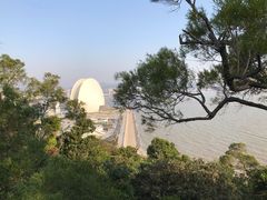 -野狸岛