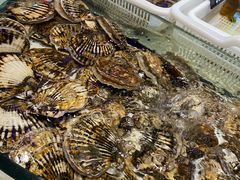 -老虎滩船说·海胆水饺·大连海鲜(老虎滩店)