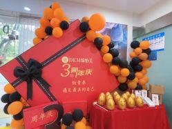 -DEM缔怡美科技美容