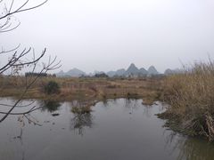 -会仙湿地