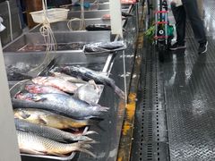 -三旗百汇商品城