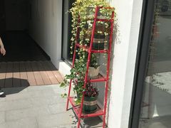 -大隐国际青年旅舍(上海陆家嘴东方明珠店)