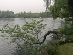 -浙江西子宾馆·瑶园咖啡厅