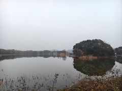 -上海市保健医疗中心