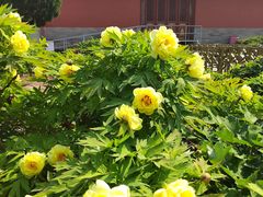 -大钟寺古钟博物馆