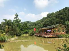 -火炉山森林公园