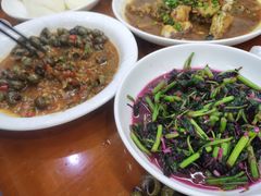 -全乐鱼馆·淳牌有机鱼直营店