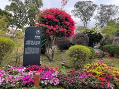 -东莞植物园