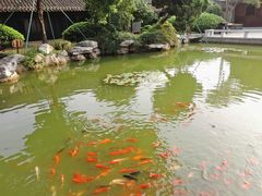 -口岸雕花楼