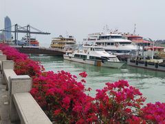 -八婆婆烧仙草(中山路店)