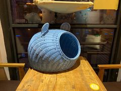 -吉丁鸟咖·异宠·寄养