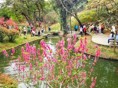 -广州市白云山风景名胜区