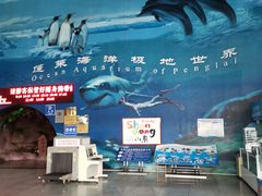 -蓬莱欧乐堡海洋极地世界