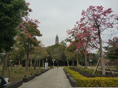 -顺峰山公园