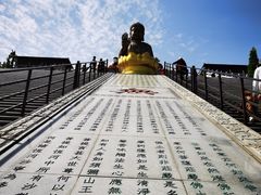 -龙口南山旅游景区