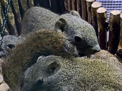 -多彩贵州城极地海洋世界