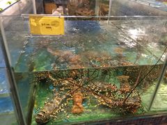 -温州龙湾国际机场温德姆酒店