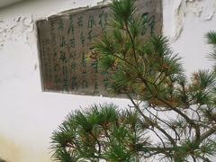 -南山植物园
