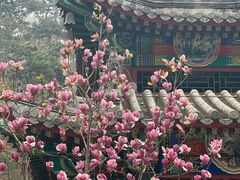 -红螺寺