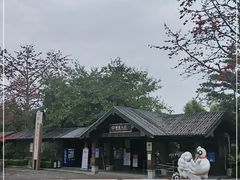 -大湾区中央湿地公园