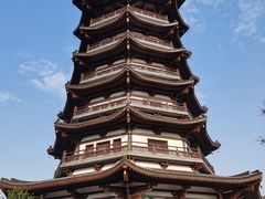 -洋湖国家湿地公园