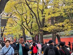 -北京国子监胡同