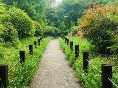 景点-新江湾城公园