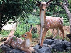 -丽泽山庄·生态怀柔菜·虹鳟鱼(红螺寺店)