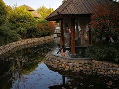 -观唐（国际）度假村温泉