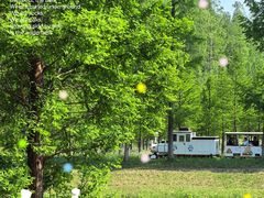 -黄海国家森林公园