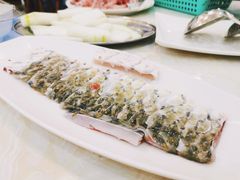 脆爽鱼皮-源港渔村-中山脆肉鲩(博罗店)
