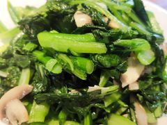 -潍城老菜馆·地标美食