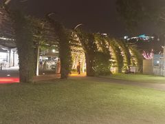 -布里斯班南岸公园