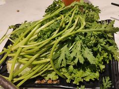 -呷哺呷哺 黄金牧场 (中发百旺店)