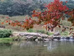 -广州市石门国家森林公园