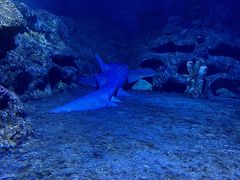 -厦门海底世界