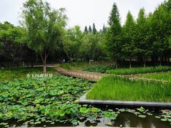 -泰州凤城河风景区-泰山公园