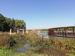 -昆山城市生态森林公园