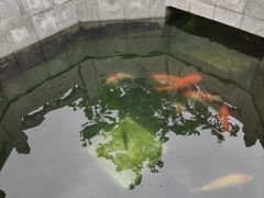 -西安市广仁寺