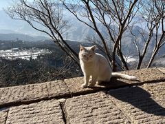 -北岳恒山