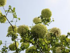 -苏州上方山国家森林公园