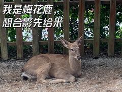 -野象谷景区