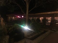景观位-好汉锅园林秘制老火锅 柴火霸王鸡(金沙店)
