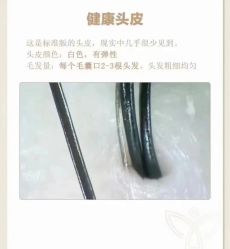 -木北造型