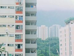 -彩虹村