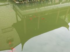 -龙潭水乡