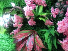 -惠友大虾(太原北街店)