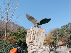 -北京鹫峰国家森林公园